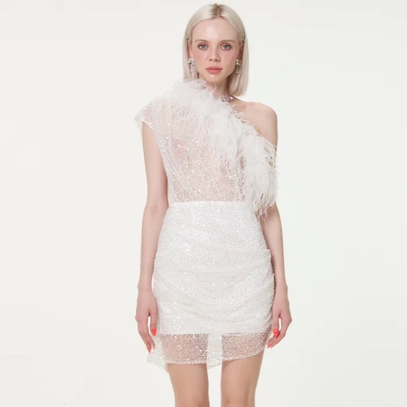 Par Violet End Scene Dress BRAND NEW (NWT) - Picture 4 of 10